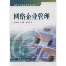 高等学校电子商务系列教材：网络企业管理