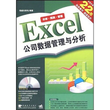 Excel 公司数据管理与分析(第2版)(附光盘)