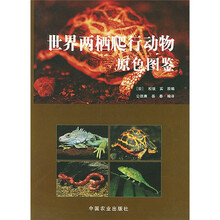 世界两栖爬行动物原色图鉴