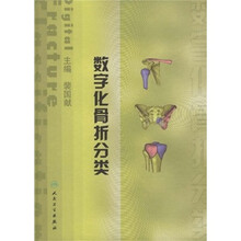 数字化骨折分类