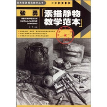 张勇素描静物教学范本