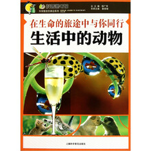 在生命的旅途中与你同行：生活中的动物