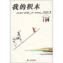 我的积木