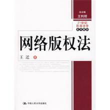 21世纪民商法学系列教材：网络版权法