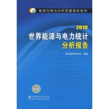2010世界能源与电力统计分析报告