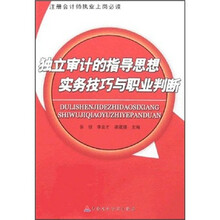 注册会计师执业上岗必读:独立审计的指导思想实务技巧与职业判断