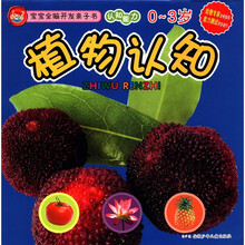 宝宝全脑开发亲子书:植物认知(认知能力)(0-3岁)