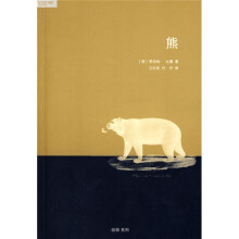 动物系列:熊