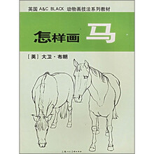 怎样画马