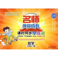 名师伴你成长课时同步学练测:数学(6年级)(下册)(人教版)