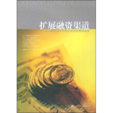 扩展融资渠道:适合微型及中小型企业的范例及政策(引进版)