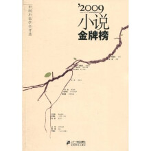 2009小说金牌榜