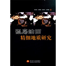 孤岛油田精细地质研究