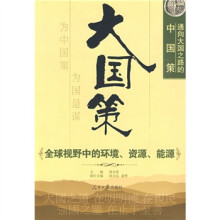 通向大国之路的中国策:全球视野中的环境资源能源