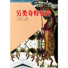 另类奇特花卉（年宵花卉版）