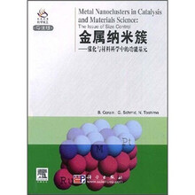 金属纳米簇：催化与材料科学中的功能基元（导读版）