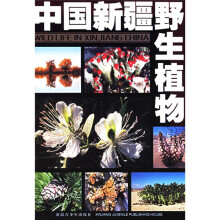 中国新疆野生植物