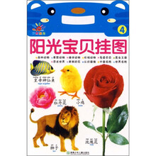 阳光宝贝挂图4