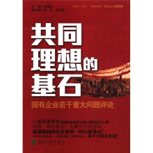 共同理想的基石:国有企业若干重大问题评论