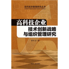 高科技企业技术创新战略与组织管理研究