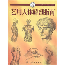 艺用人体解剖指南