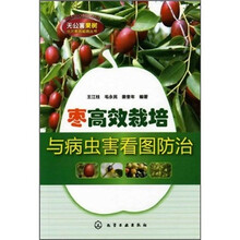 枣高效栽培与病虫害看图防治