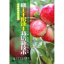 桃主干形速丰栽培新技术