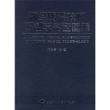 神经阻滞技术解剖学彩色图解
