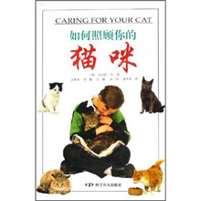 如何照顾你的猫咪