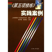 第五项修炼实践案例