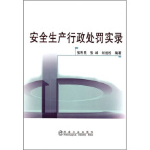 安全生产行政处罚实录