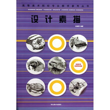 高等美术院校专业教学参考丛书：设计素描