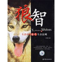 狼智：生活中的狼性生存法则