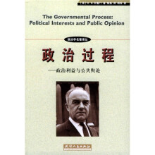 政治过程：政治利益与公共舆论