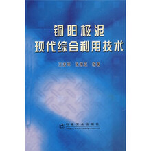 铜阳极泥现代综合利用技术