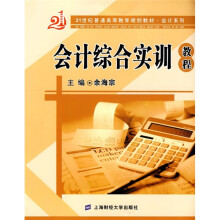21世纪普通高等教育规划教材·会计系列:会计综合实训教程