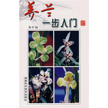 养兰一步入门