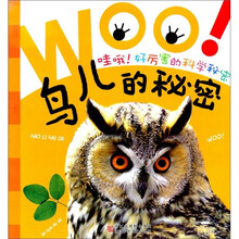 哇哦好厉害的科学秘密：鸟儿的秘密