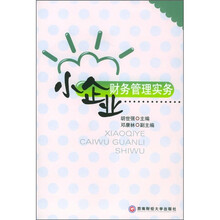 小企业财务管理实务
