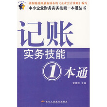 记账实务技能1本通