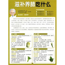 滋补养肺吃什么