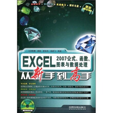 EXCEL2007公式、函数、图表与数据处理从新手到高手(附赠CD光盘1张)