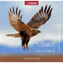 中国国家地理:飞羽瞬间(第2卷)