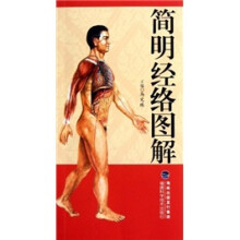 简明经络图解