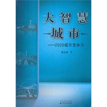 大智慧城市：2020城市竞争力
