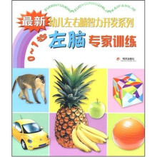 幼儿左右脑智力开发系列（套装全8册）