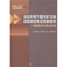 渗流作用下露天矿边坡动态稳定性及控制技术