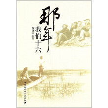 那年我们十六