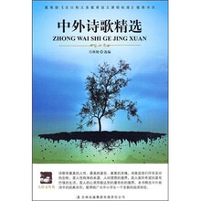 大语文丛书：中外诗歌精选