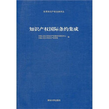 知识产权国际条约集成